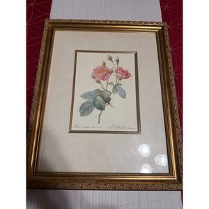 Vintage Framed Botanical Print Rosa Centifolia Anemone Gold Frame Wall Art 16x13